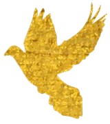 国产福利一区二区三区在线视频